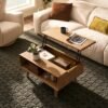 Seb Lift Top Coffee Table, Small image 0